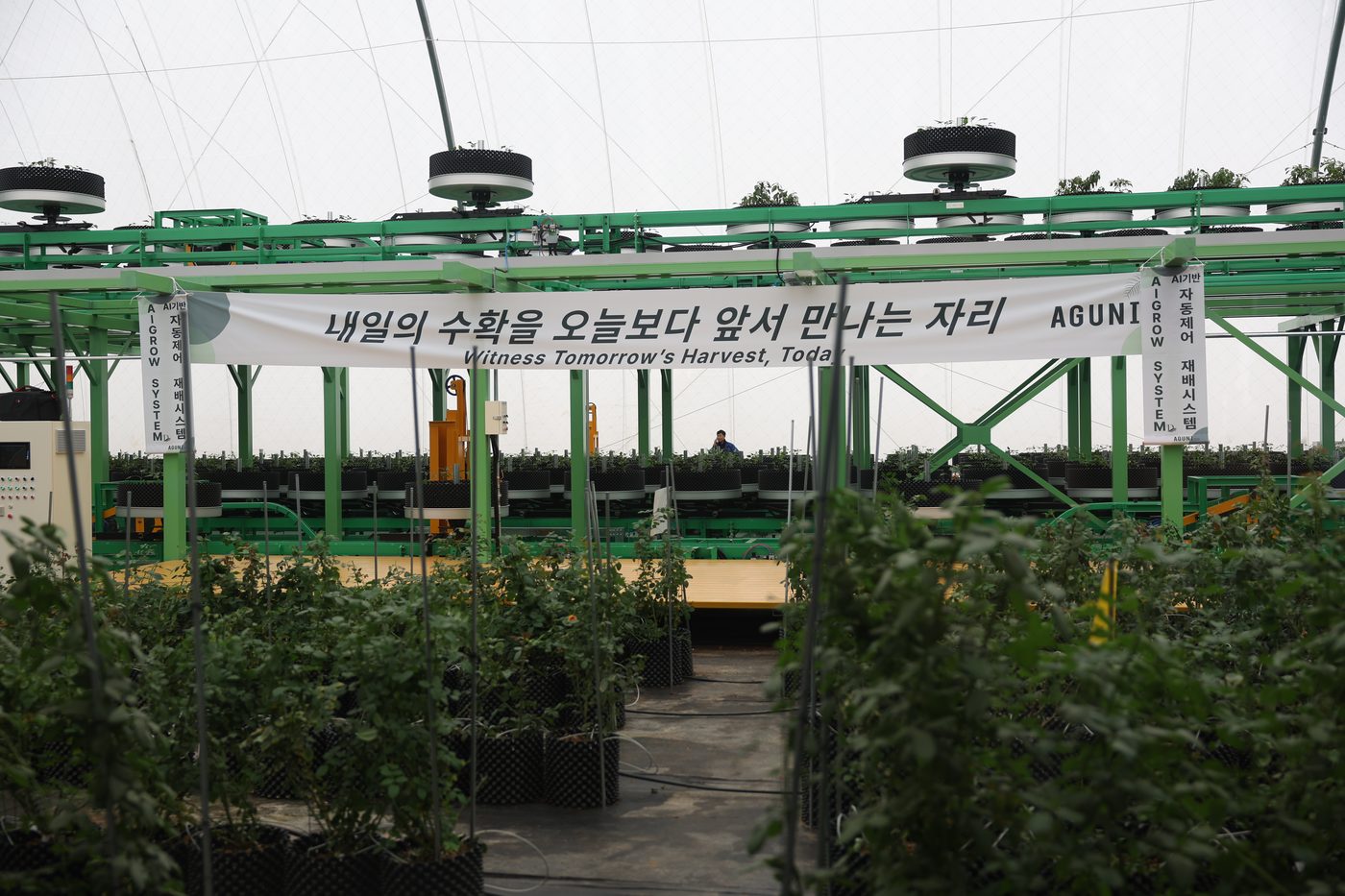 AgDome interior in operation